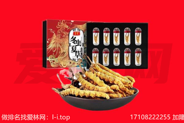 大连瓦房店市回收虫草.jpg